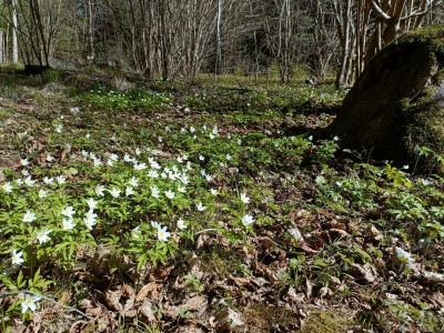 IMG20260423122719.jpg