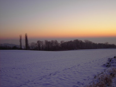 PICT1415.jpg