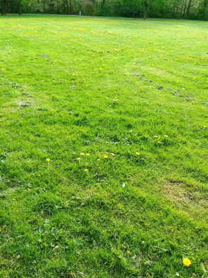 Volmarpark