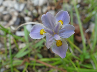 P1050047.JPG