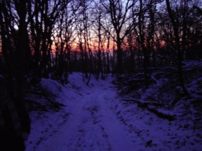 PICT1445.jpg