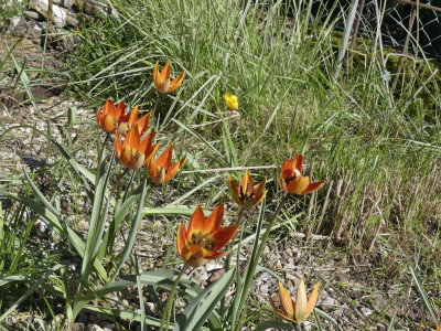 P1050013.JPG