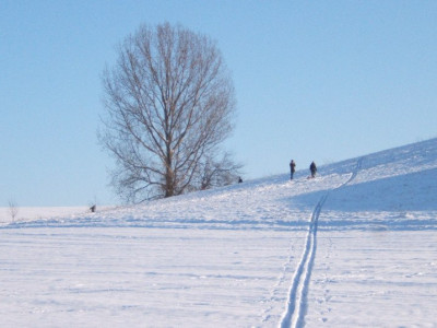 DSCF5410.JPG