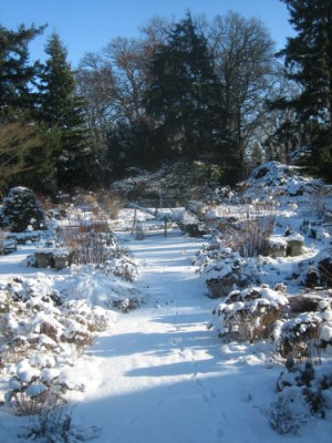 P_Foerstergarten_29441.jpg
