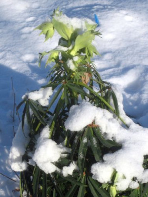 P_Foerstergarten_29491.jpg