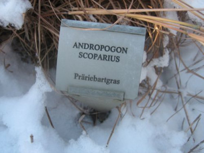 P_Foerstergarten_29501.jpg