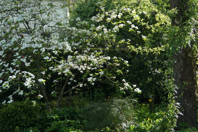 DSC01772.jpeg