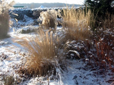 P_Foerstergarten_29511.jpg