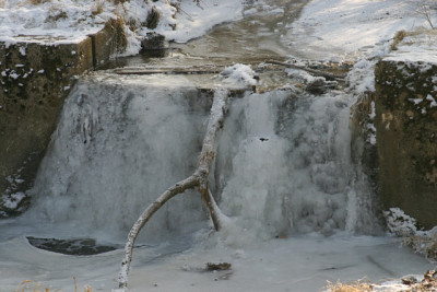 Winter2809.jpg