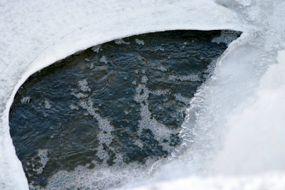 Winter3909.jpg