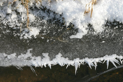 Winter4709.jpg