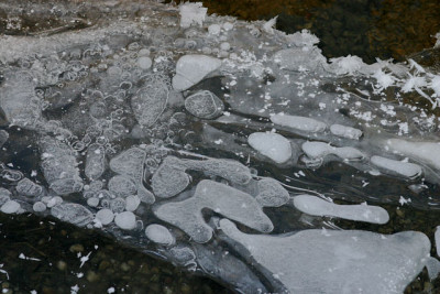 Winter5109.jpg