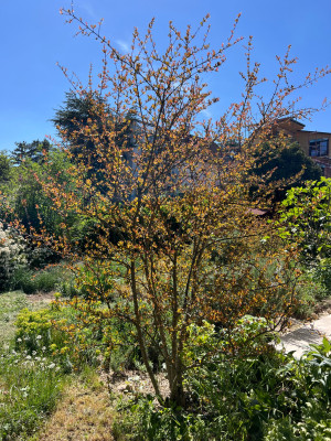 IMG_7053.jpeg