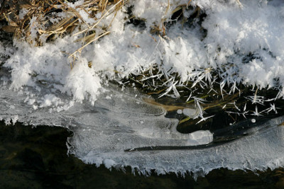 Winter5909.jpg