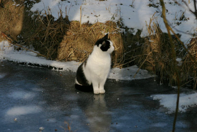 Winter4009.jpg