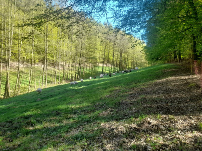 20260430_153942.jpg