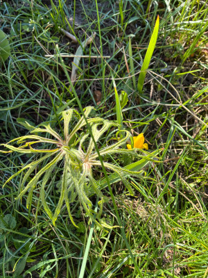 IMG_3020.jpeg