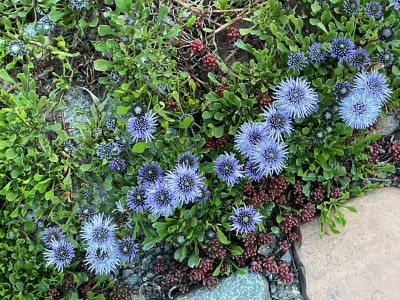 IMG_3093.jpeg