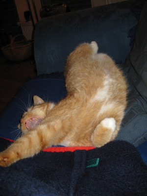 0Ron_0174.jpg