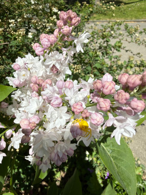 IMG_9002.jpeg