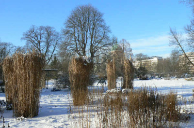 090112_026k.jpg