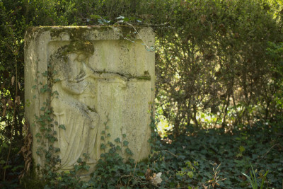 3Q7A0993.jpg