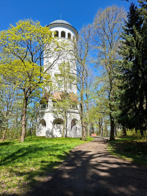20260423_132720.jpg