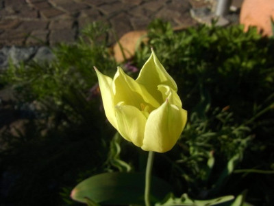 R0011426.JPG