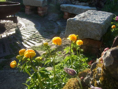 R0011423.JPG