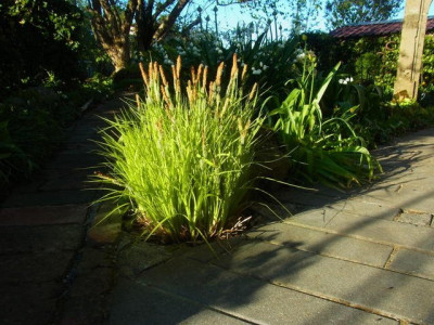 R0011407.JPG