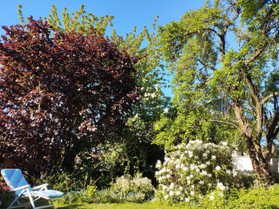 260501_Sommertag.jpg