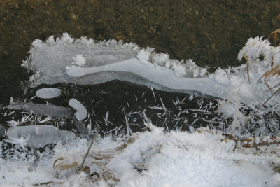 Winter7809.jpg