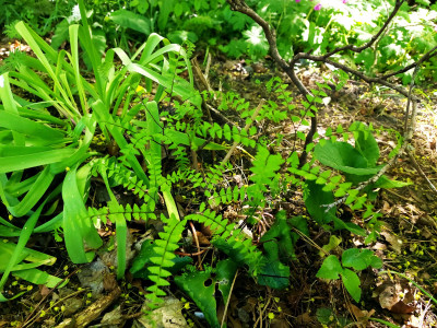 20260501_115030.jpg