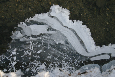 Winter7709.jpg