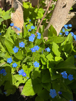 IMG_3010.jpeg