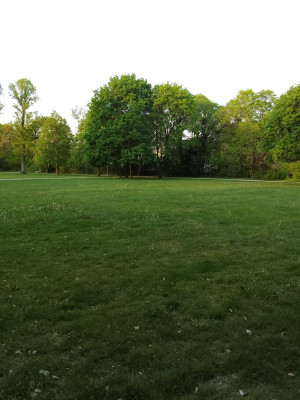 Wiese im Vollmarpark