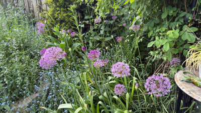 IMG_3202.jpeg