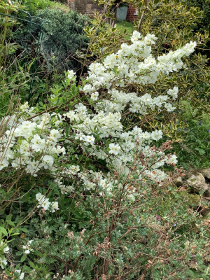 IMG_0784.jpeg