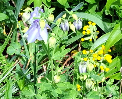 SAL20260503_131954.jpg
