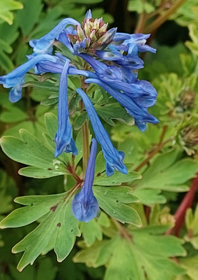 20260503_170754.jpg