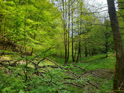 20260503_155026.jpg