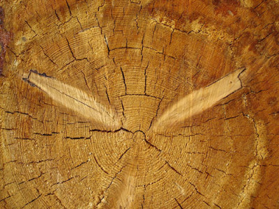 holzquer.jpg