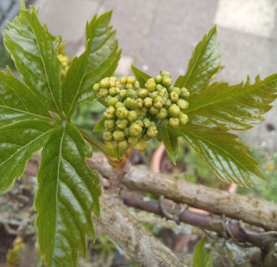 20260503_181555.jpg