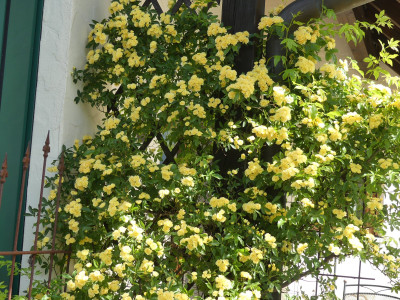 P1050050.JPG