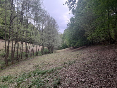 20260504_182605.jpg