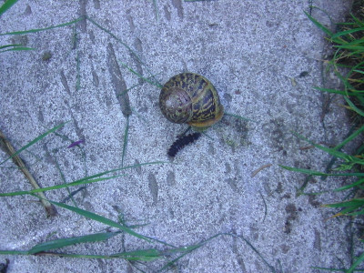 BILD2062.JPG