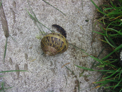 BILD2063.JPG