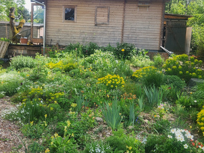 20260506_145232.jpg