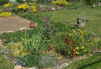 IMG_6674_Garten_4Mai2026_.JPG
