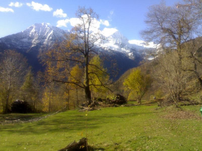 K800_08112008349.JPG